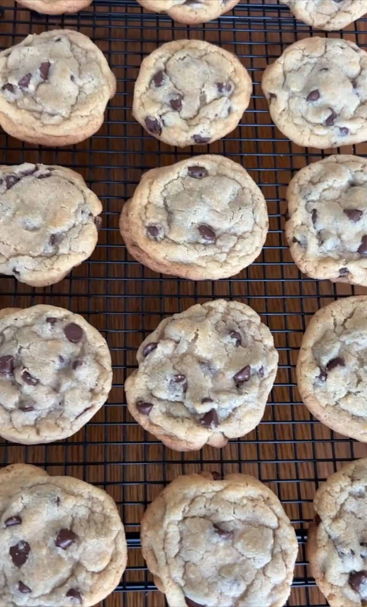 Freshly baked cookies on a cooling rack